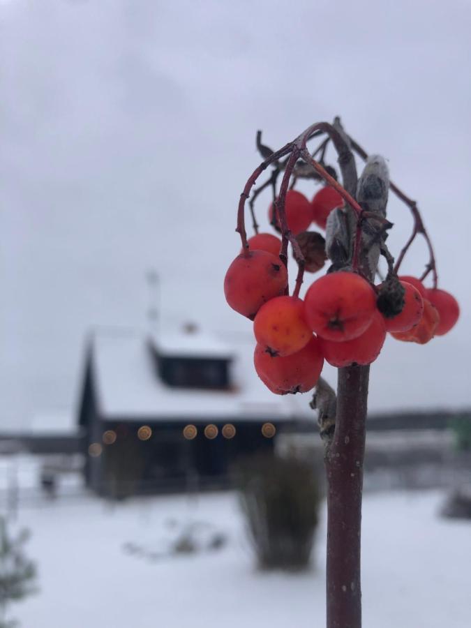 Vanaga Namins Sigulda Buitenkant foto